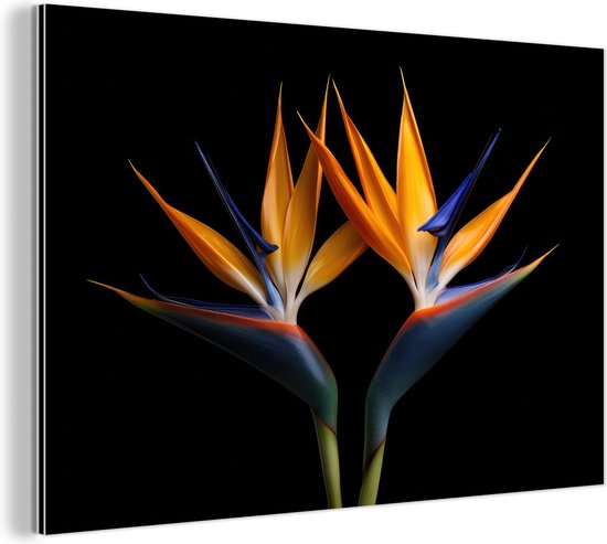 Wanddecoratie Metaal - Aluminium Schilderij Industrieel - Planten - Bloemen - Paradijsvogelbloem - Portret - Zwart - 90x60 cm - Dibond - Foto op aluminium - Industriële muurdecoratie - Voor de woonkamer/slaapkamer