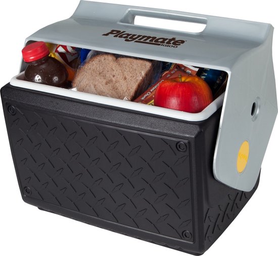 Zwarte koelbox met geruit patroon. De zilverkleurige bovenkant is geopend en bevat een appel, brood en een flesje.