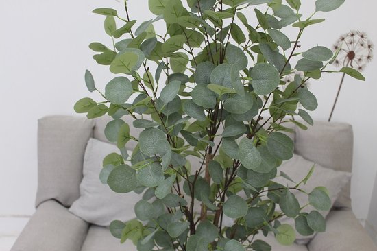 Eucalyptus Tree kunstplant (H180cm) in de kleur Groen