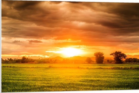 PVC Schuimplaat - Felle Zonnestralen over Groen Gras in Landschap - 90x60 cm Foto op PVC Schuimplaat (Met Ophangsysteem)