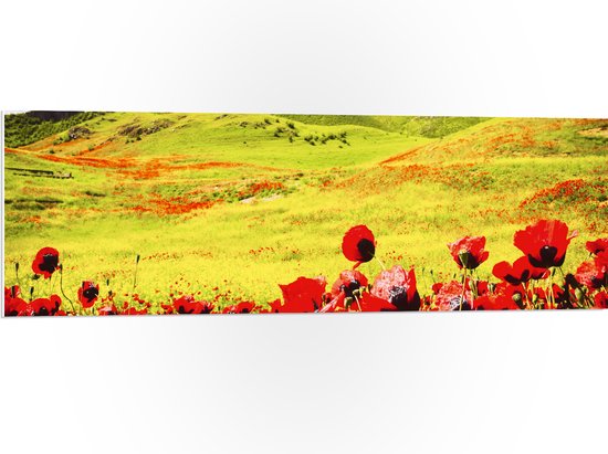 PVC Schuimplaat - Groep Rode Bloemen in Heuvellandschap - 120x40 cm Foto op PVC Schuimplaat (Met Ophangsysteem)