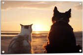 Tuinposter – Kat en Hond op het Strand Kijkend naar Zonsondergang - 75x50 cm Foto op Tuinposter (wanddecoratie voor buiten en binnen)