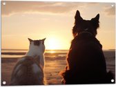 Tuinposter – Kat en Hond op het Strand Kijkend naar Zonsondergang - 80x60 cm Foto op Tuinposter (wanddecoratie voor buiten en binnen)