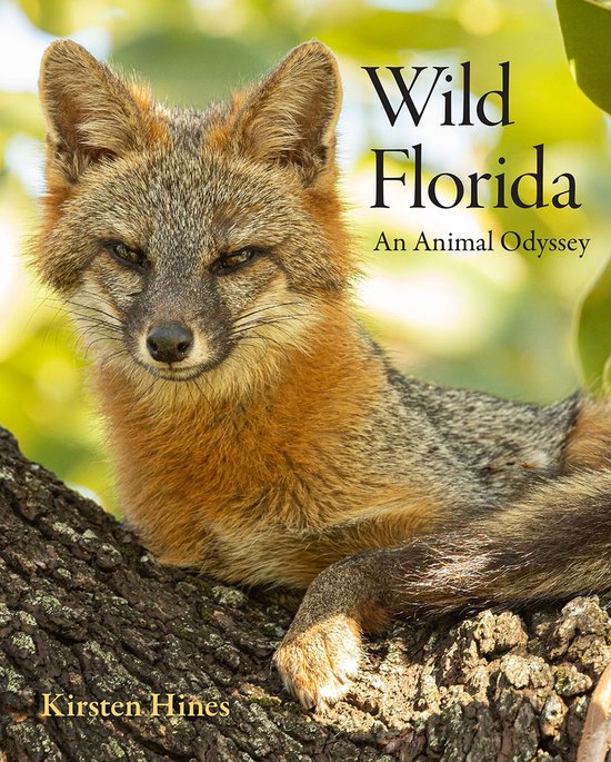 Wild Florida - cover