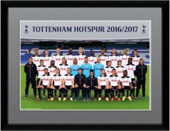Tottenham Hotspur Poster - Picture Squad - 6 X 8 Cm - Multicolor