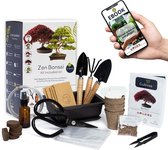 Bonsai Set Premium Klaar om te planten - Tuinieren en decoreren - Natuurlijke Bonsai en Plantenverzorging - Draad, Kunstmest, Gereedschap, Ronde Schaar, Kleine Bonsai Schaar - Origineel cadeau-idee