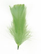Veren - Licht groen - 5-10cm - 5gram