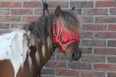 Frontal MHS Fly Rouge Poney