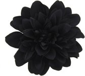 Zac's Alter Ego - Large chrysanthemum Haarbloem - Zwart