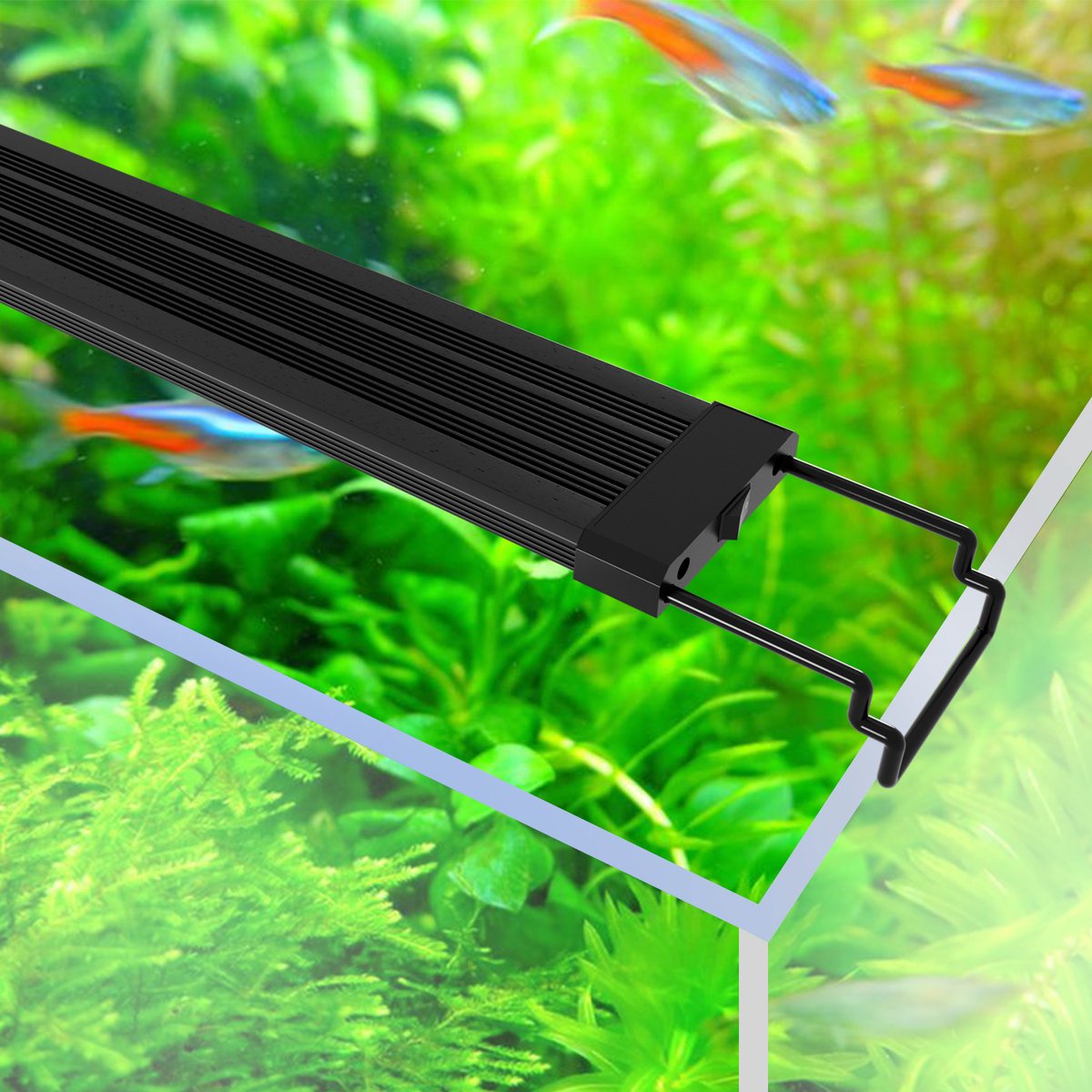 Mixtooltoys Aquariumverlichting voor aquariumverlichting, afstandsbediening, 5050, led, kleurverandering, 30 cm, 12 inch, luchtbelverlichting met 24 toetsen, voor zoet- en zoutwateraquarium