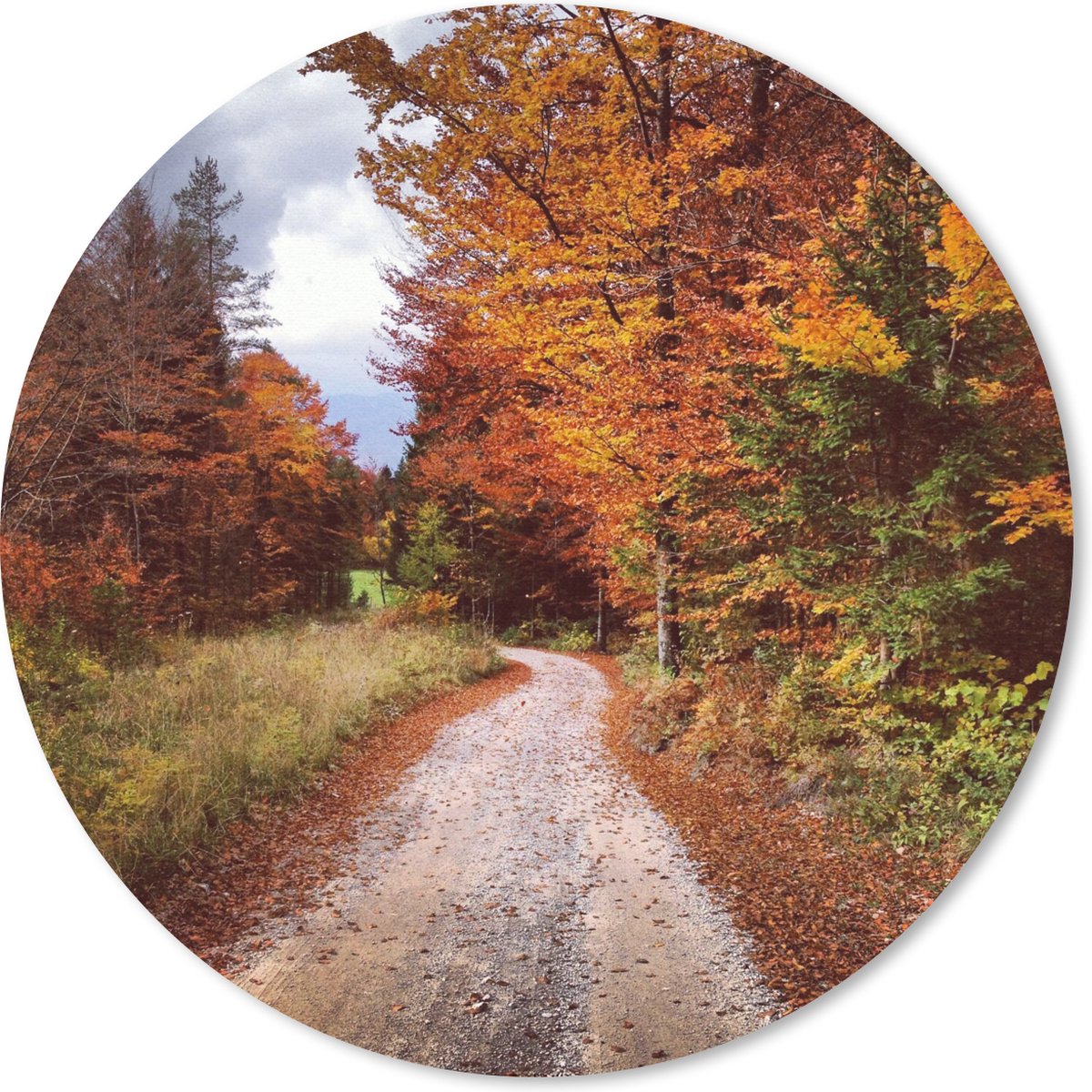 Muismat rond 20x20 cm - Mousepad Herfst - Herfstbladeren - Pad - Bos - Ronde muismatten