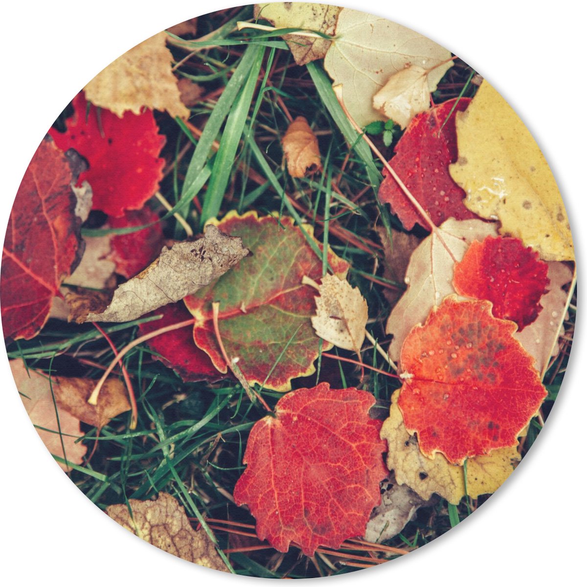 Muismat rond 20x20 cm - Mousepad Bladeren - November - Herfst - Natuur - Ronde muismatten