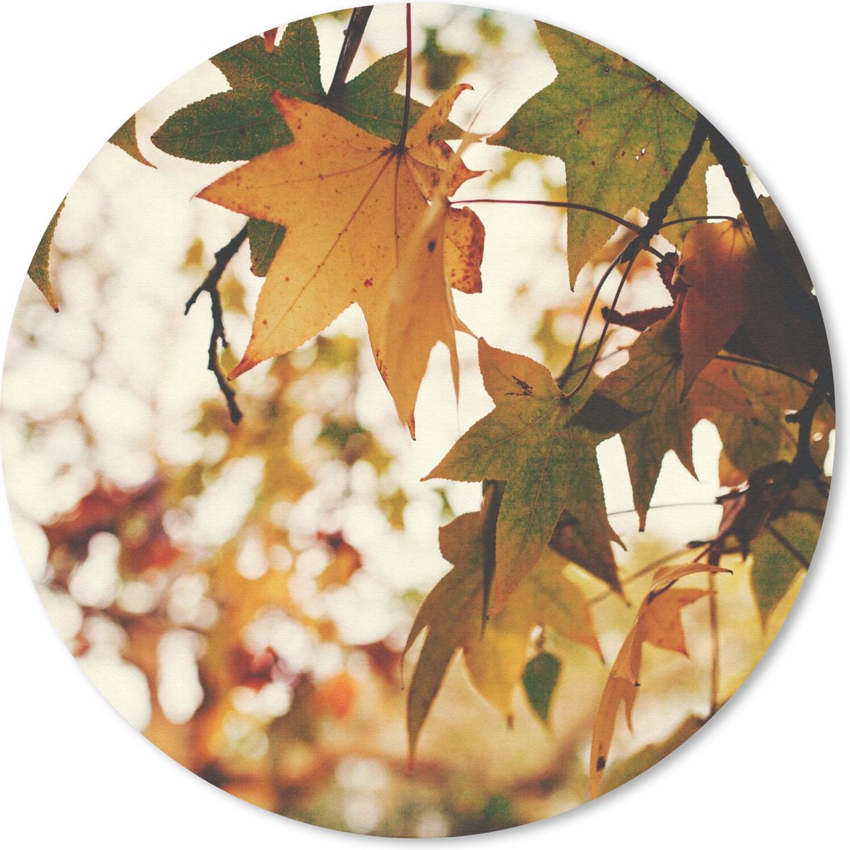 Muismat rond 30x30 cm - Mousepad Natuur - Herfstbladeren - Landelijk - Ronde muismatten