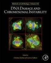 DNA Damage and Chromosomal Instability