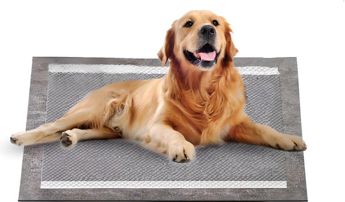 YNAYG Hondenpotje Van 304 Roestvrij Staal – Binnen/buiten, Voor Middelgrote En Grote Honden, In 5 Maten