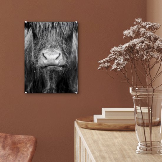 MuchoWow® Tableau sur verre 30x40 cm - Tableau sur verre acrylique - Highlander écossais - Vache - Zwart - Wit - Animaux - Photo sur verre - Décoration murale salon - Décoration murale chambre - Peintures