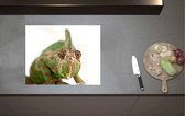 Inductieplaat Beschermer - Vooraanzicht van Kop van Sip Kijkende Kameleon - 60x52 cm - 2 mm Dik - Inductie Beschermer van Vinyl