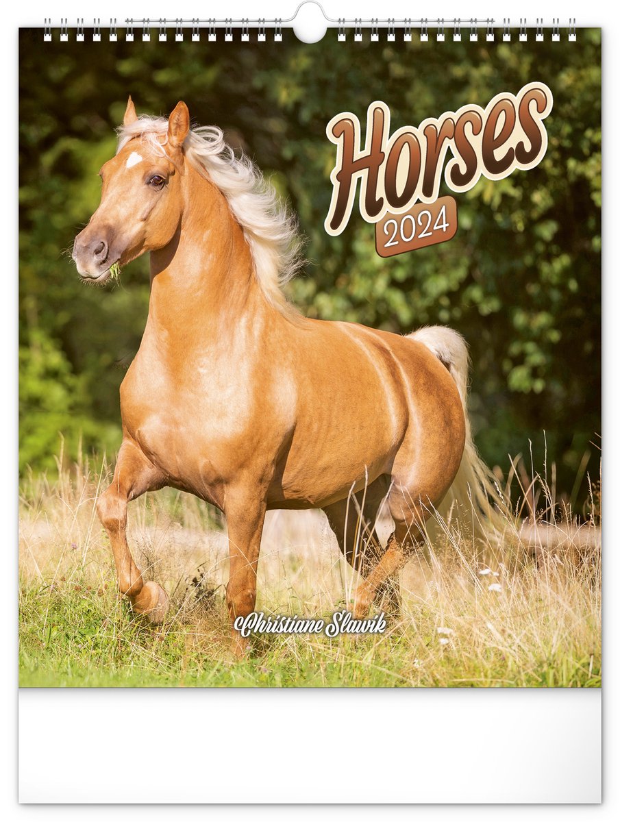 Horses Kalender 2024