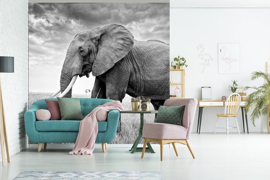 Behang - Fotobehang Olifant op de vlakte in zwart-wit - Breedte 350 cm x hoogte 350 cm