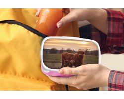 Broodtrommel Roze - Lunchbox - Brooddoos - Schotse hooglander - Dieren - Landschap - Zonsondergang - Koe - 18x12x6 cm - Kinderen - Meisje