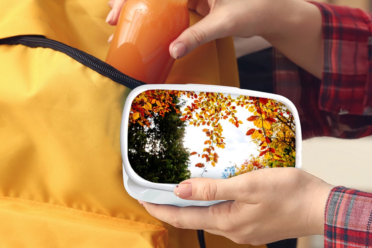 Broodtrommel Wit - Lunchbox - Brooddoos - Herfst - Bladeren - Natuur - 18x12x6 cm - Volwassenen