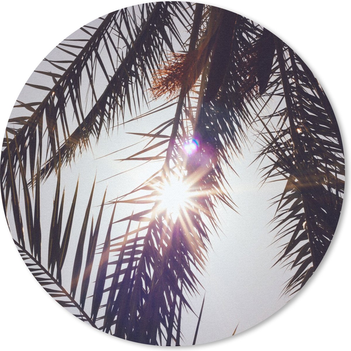 Muismat rond 40x40 cm - Mousepad Palmbladeren - Zon - Zomer - Ronde muismatten