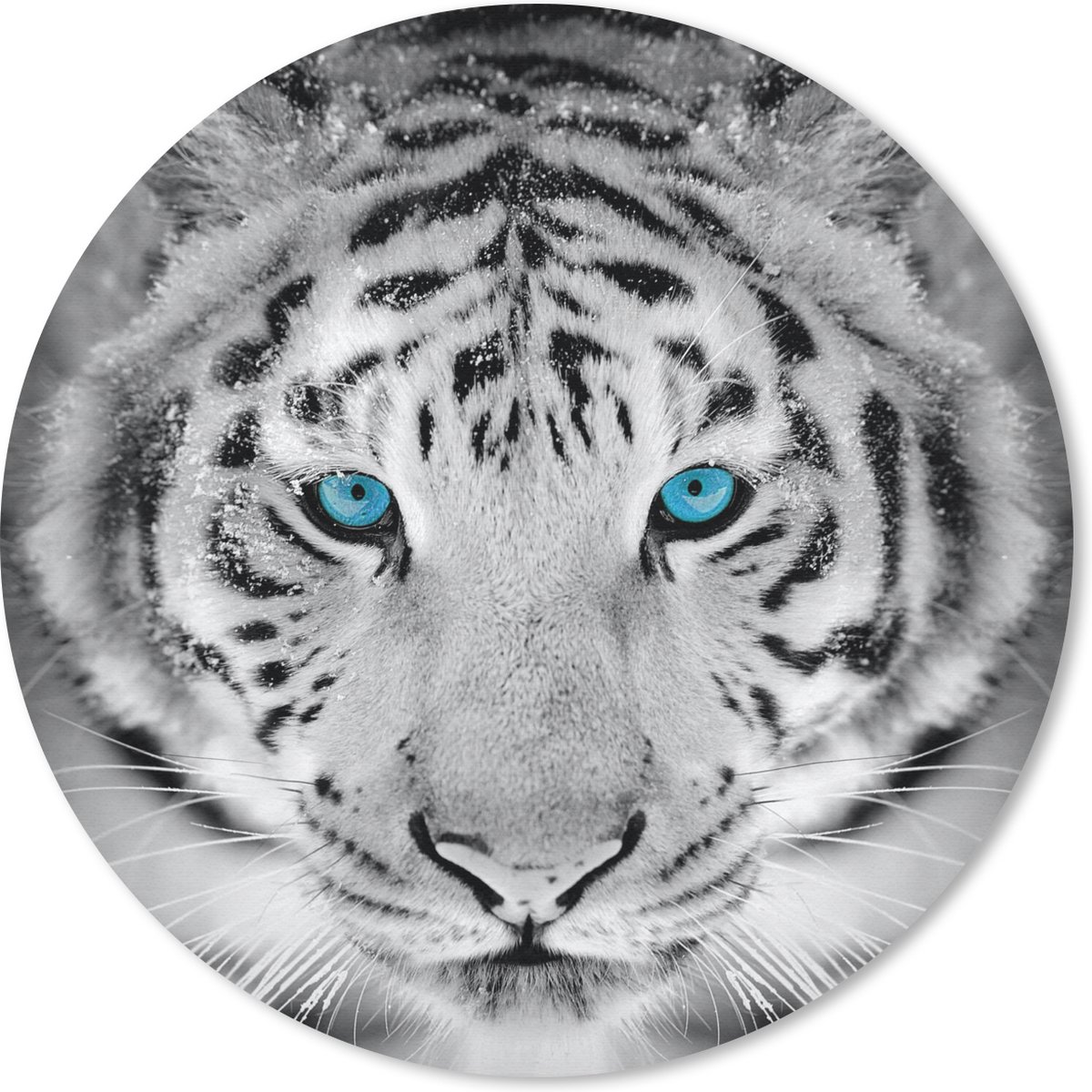 Muismat rond 30x30 cm - Mousepad Tijger - Winter - Dieren - Ronde muismatten