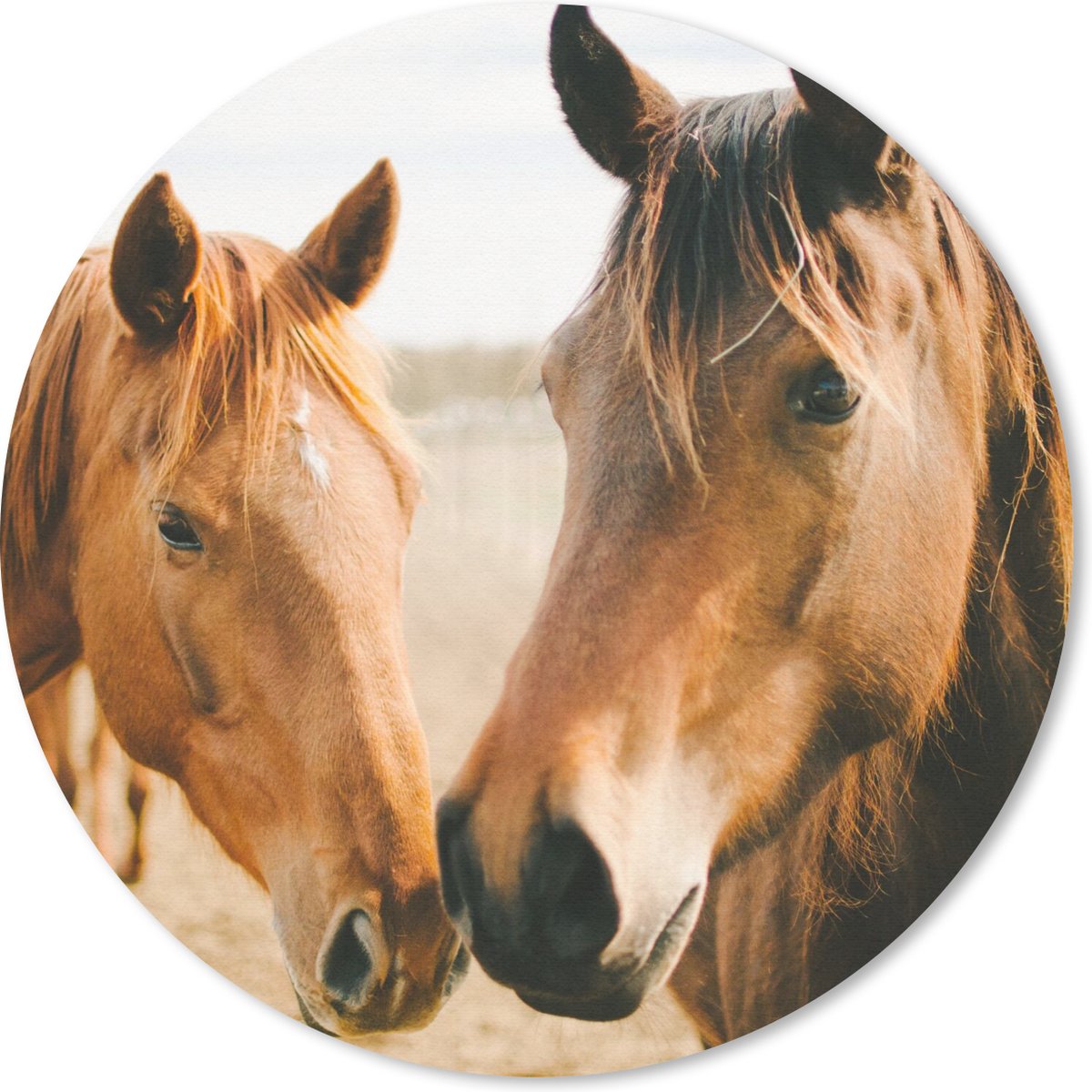 Muismat rond 40x40 cm - Mousepad Paard - Strand - Dieren - Ronde muismatten
