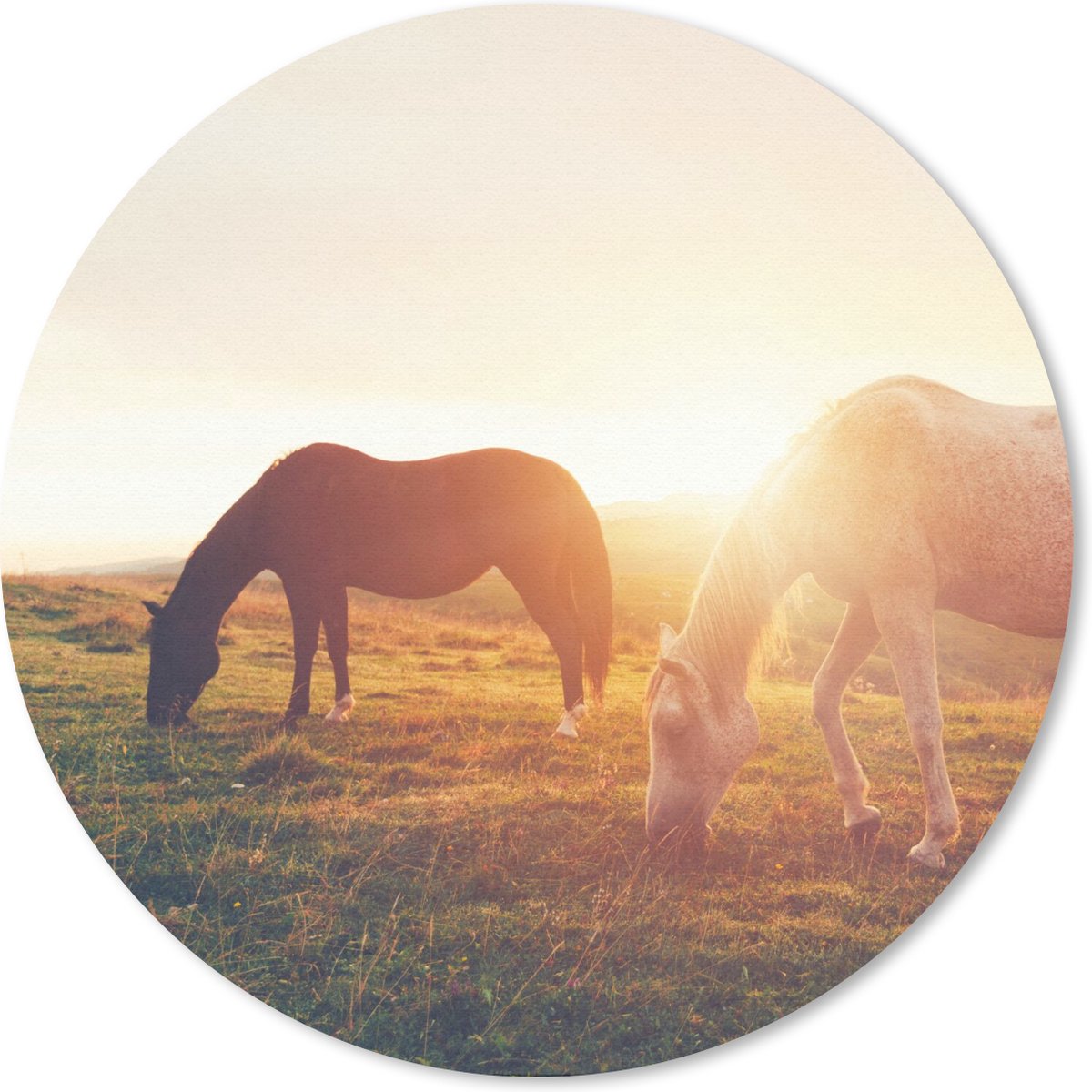 Muismat rond 50x50 cm - Mousepad Paarden - Zon - Dieren - Ronde muismatten