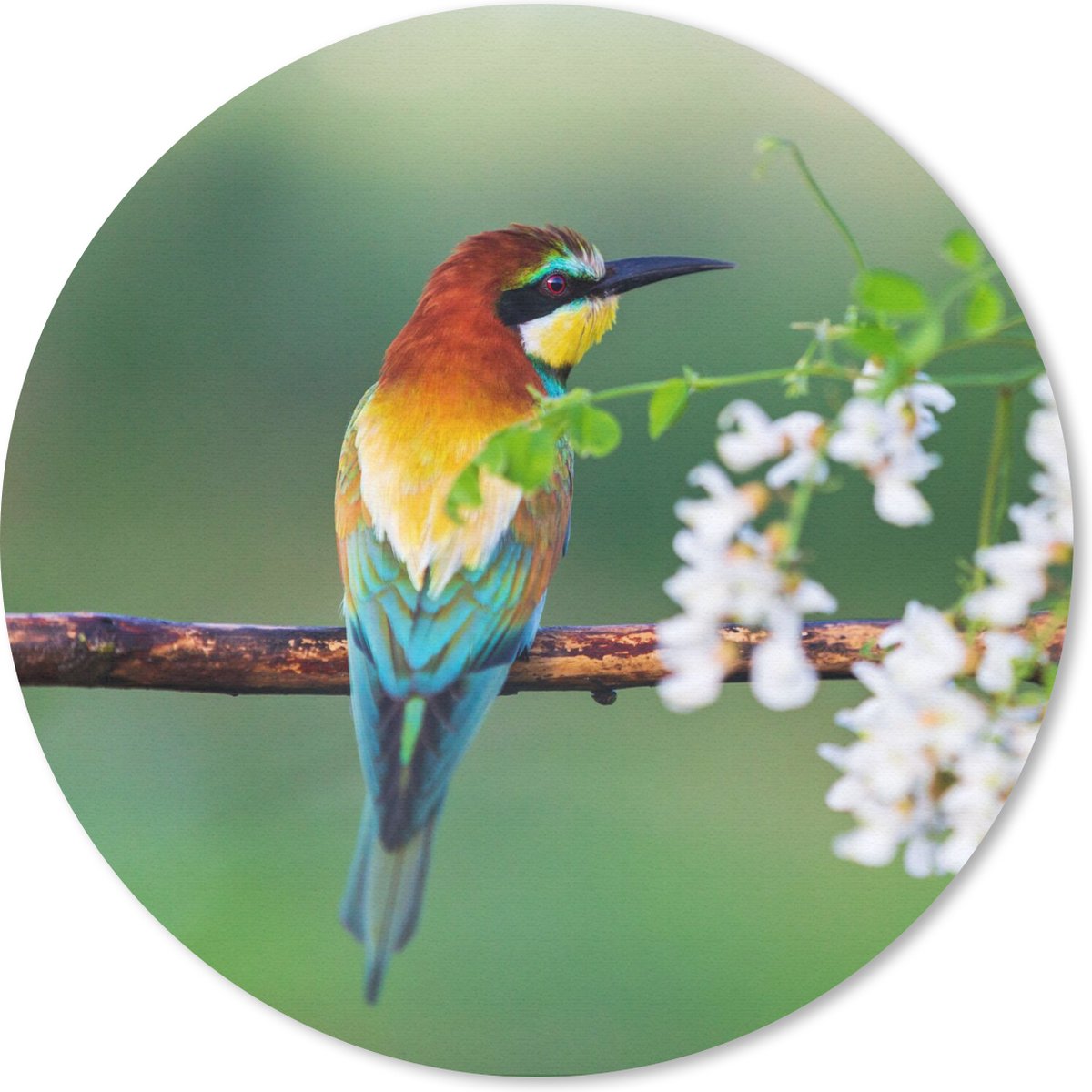 Muismat rond 30x30 cm - Mousepad Vogel - Bijeneter - Bloemen - Ronde muismatten