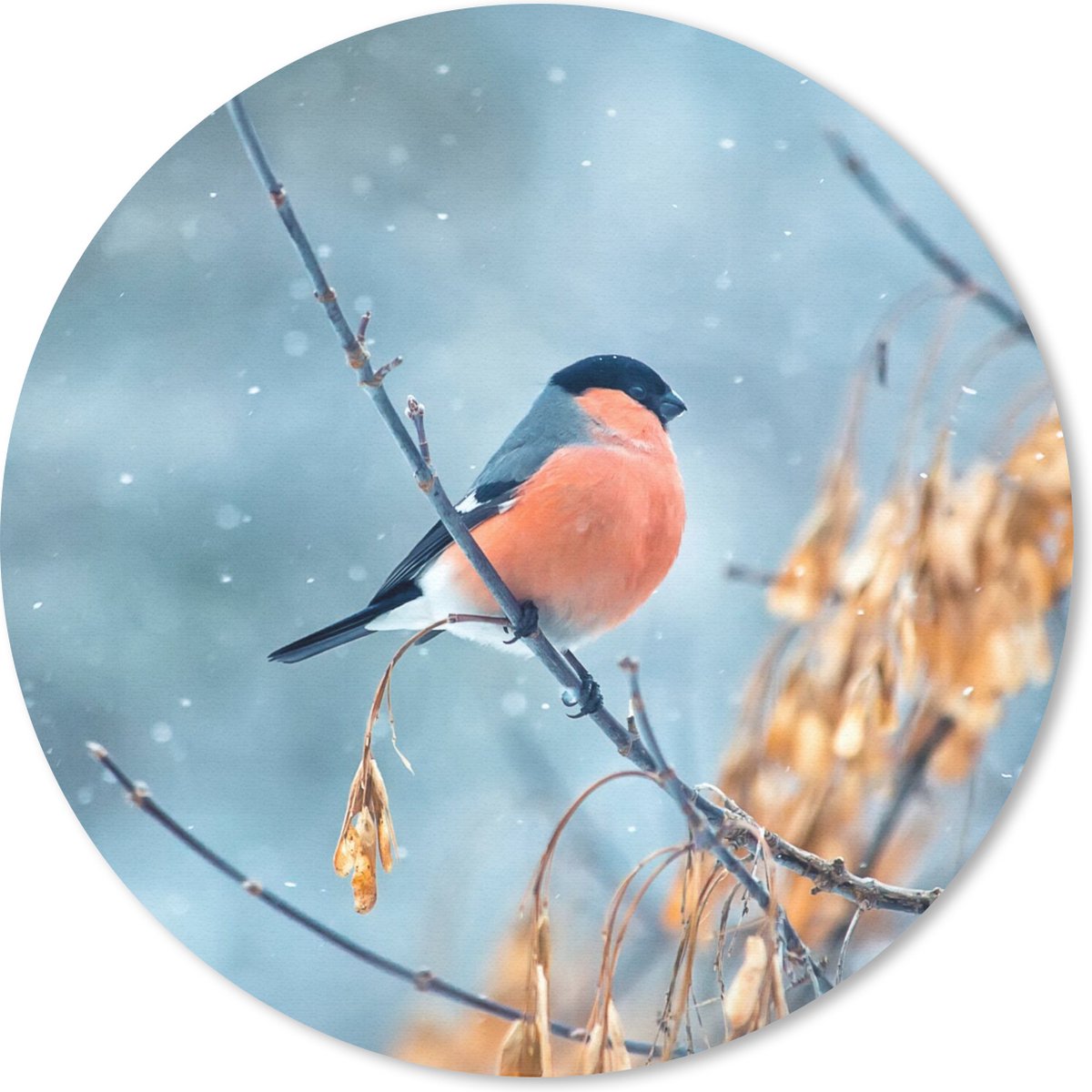 Muismat rond 20x20 cm - Mousepad Roodborstje - Vogel - Sneeuw - Herfstbladeren - Ronde muismatten