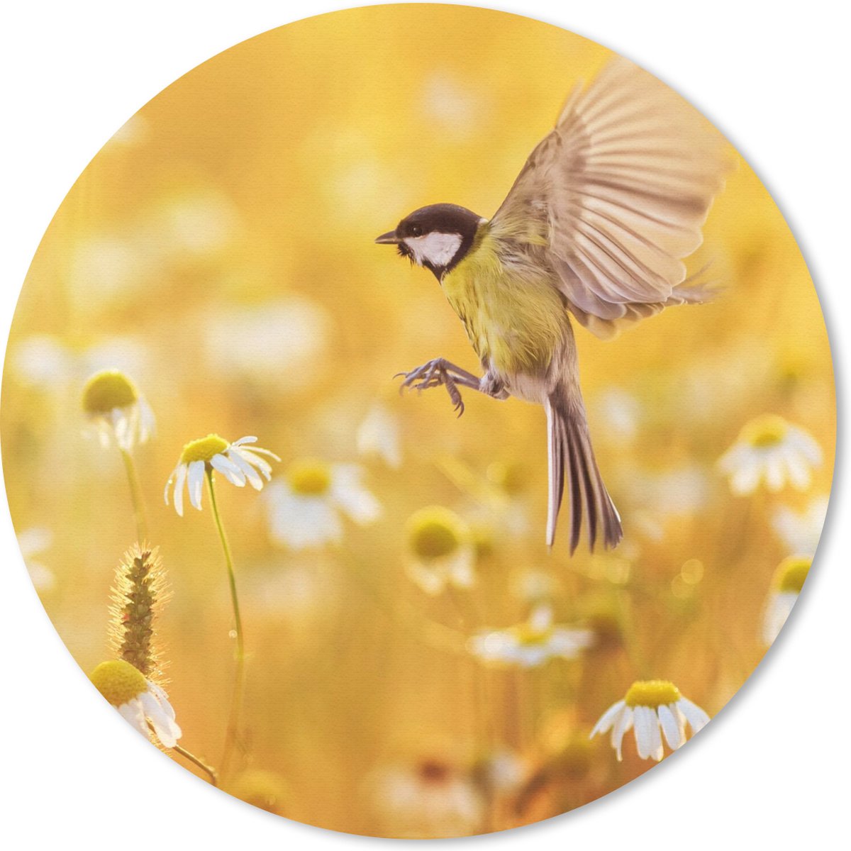 Muismat rond 30x30 cm - Mousepad Vogel - Koolmees - Bloemen - Margriet - Ronde muismatten
