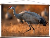 Textielposter - Kraan vogel loopt door natuur gebied heen met zijn groep op de achtergrond - 120x80 cm Foto op Textiel