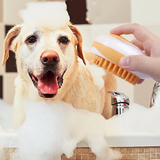 Kit d accessoires de toilettage pour animaux dremel aux Meilleurs Prix Côte d'Ivoire