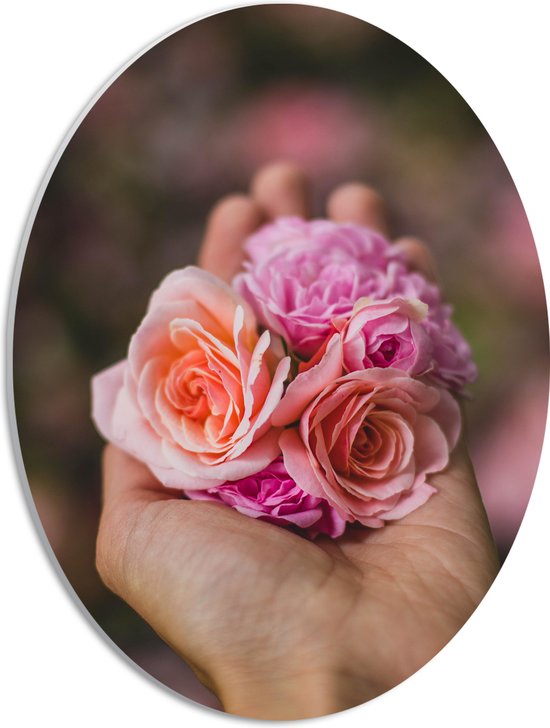 PVC Schuimplaat Ovaal - Hand - Bloemen - Natuur - Roze - 30x40 cm Foto op Ovaal (Met Ophangsysteem)