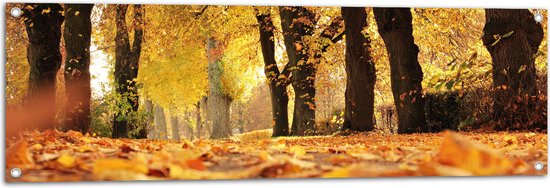 Tuinposter – Bomen - Bossen - Bladeren - Herfst - Natuur - 120x40 cm Foto op Tuinposter (wanddecoratie voor buiten en binnen)