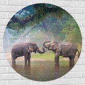 Muursticker Cirkel - Spelende Olifanten in Beekje in de Jungle - 90x90 cm Foto op Muursticker