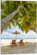 Tuinposter – Schuingroeiende Palmboom boven Ligbedden en Parasol op het Strand - 60x80 cm Foto op Tuinposter (wanddecoratie voor buiten en binnen)