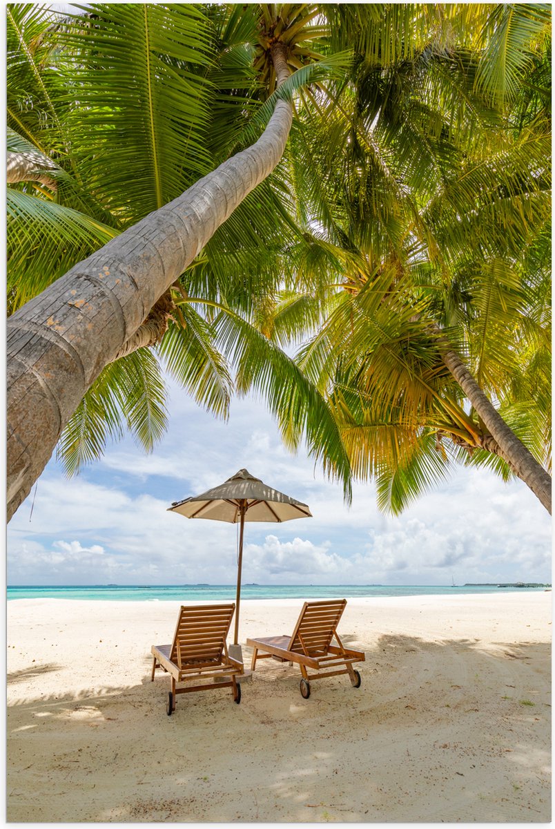 Poster Glanzend – Schuingroeiende Palmboom boven Ligbedden en Parasol op het Strand - 50x7