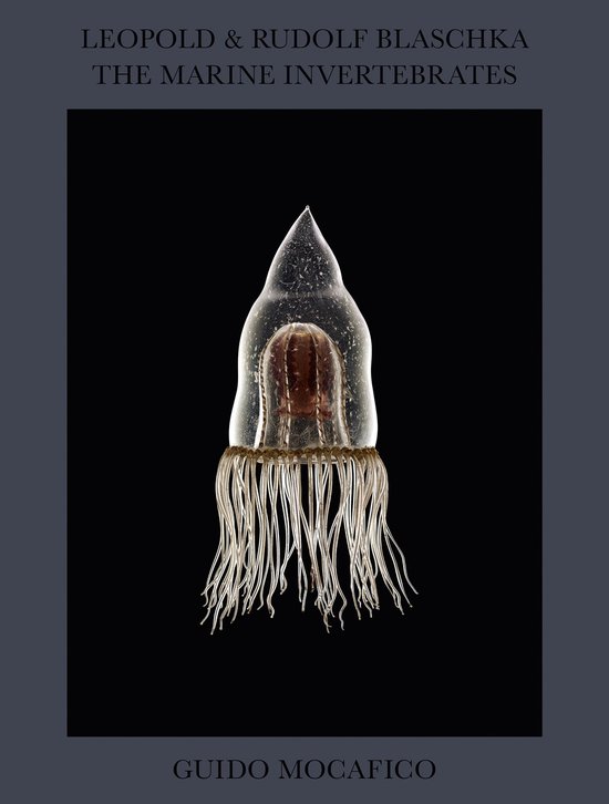 Guido Mocafico: Leopold & Rudolf Blaschka. The Marine Invertebrates ...
