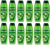 PALMOLIVE Naturals Shampoo- Silky Shine Effect - 12x 350 ml - Voordeelverpakking