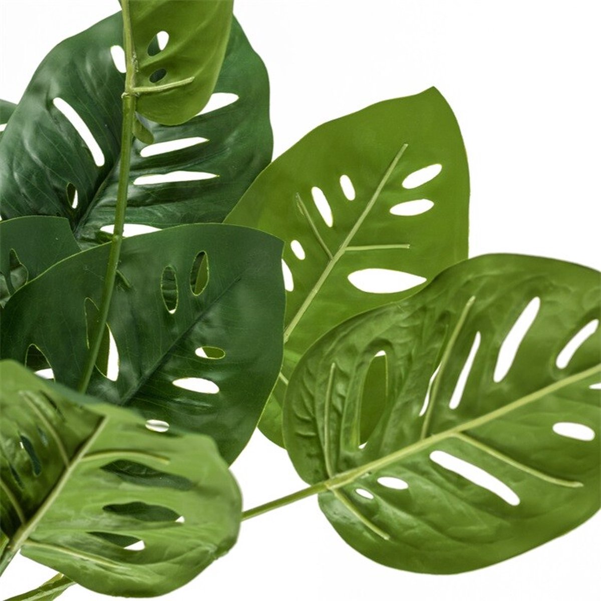 HomeBound by KY | Monstera monkey leaf kunstplant zonder pot | kunstplant | Monstera monkey leaf kunstplant