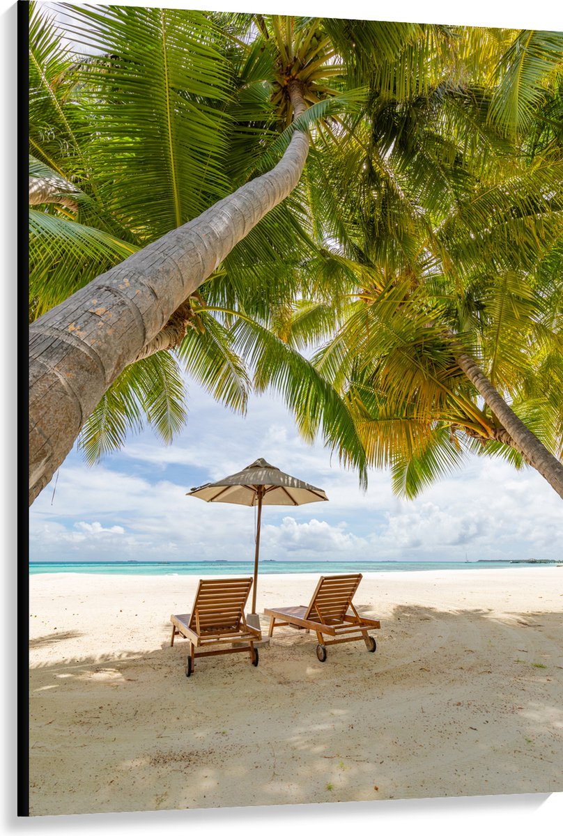 Canvas - Schuingroeiende Palmboom boven Ligbedden en Parasol op het Strand - 100x150 cm Fo