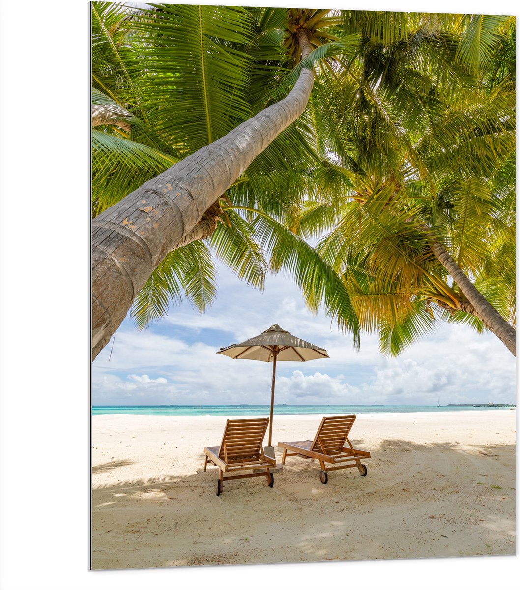 Dibond - Schuingroeiende Palmboom boven Ligbedden en Parasol op het Strand - 75x100 cm Fot