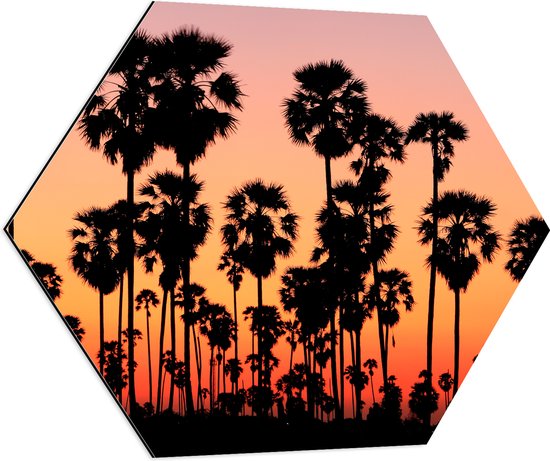 Dibond Hexagon - Silhouet van Vele Palmbomen bij Oranjekleurige Lucht - 70x60.9 cm Foto op Hexagon (Met Ophangsysteem)