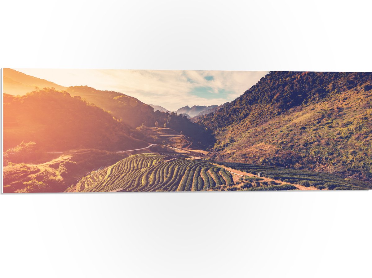 PVC Schuimplaat - Sluierbewolking over Natuurrijk Landschap - 90x30 cm Foto op PVC Schuimplaat (Met Ophangsysteem)