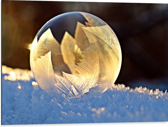 Dibond - Glas - Bol - Sneeuw - Kleuren - 80x60 cm Foto op Aluminium (Met Ophangsysteem)