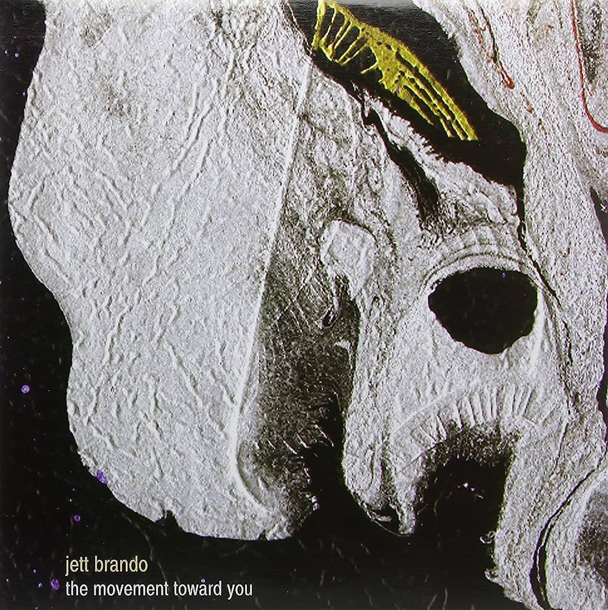 Jett Brando - Movement Toward You (LP)