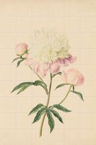 IXXI Pioenroos - Wanddecoratie - Bloemen en Planten - 120 x 180 cm