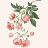 IXXI Rosa Multiflora - Wanddecoratie - 40 x 40 cm